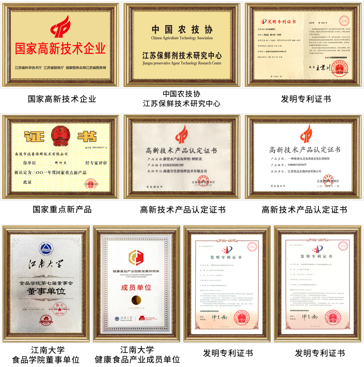 榮譽內(nèi)頁帶框版本-高清圖.jpg