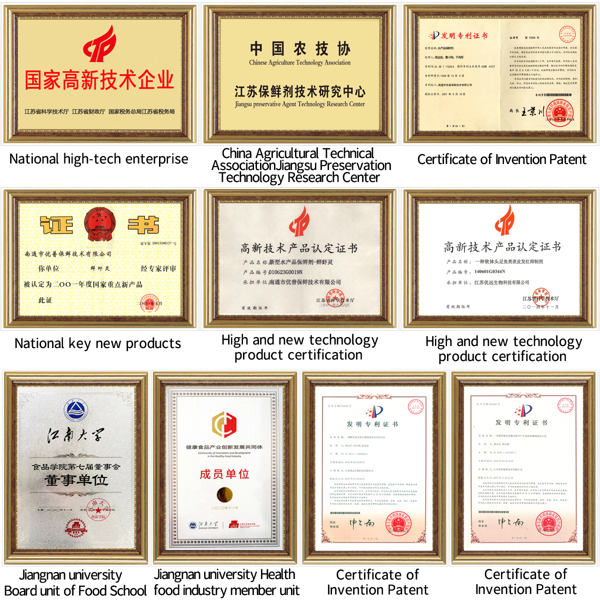 榮譽(yù)內(nèi)頁(yè)帶框版本-高清圖E.jpg