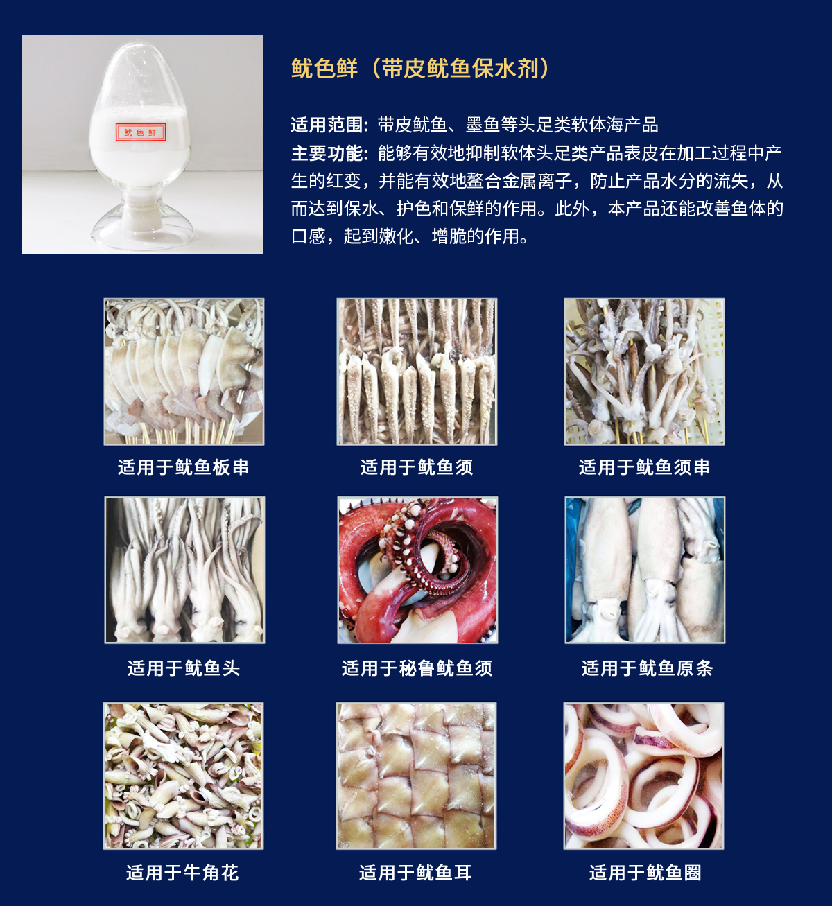 魷色鮮.jpg